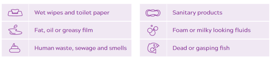 Pollution types infographics